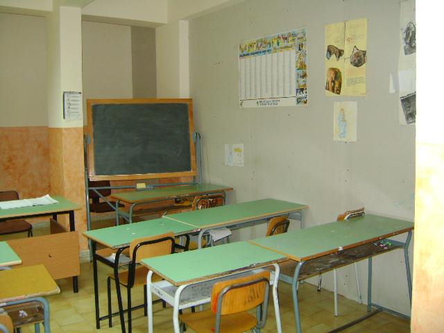 immissioni ruolo scuola