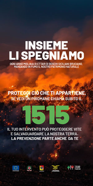 https://www.tp24.it/immagini_banner/1723231475-insieme-li-spegniamo.jpg